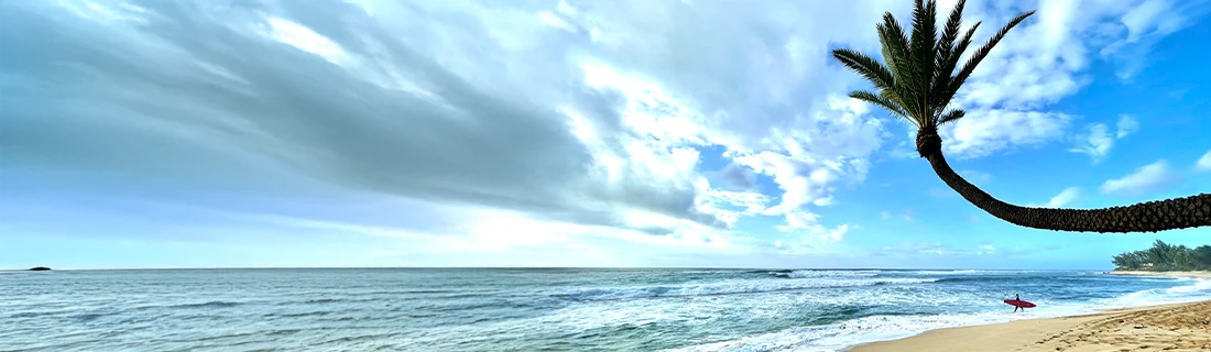 Dental Services in Aiea HI Dental Services in Aiea HI